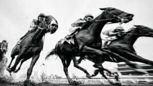 Read more about the article Eight Experts, Forty Facts, One Investing Lesson